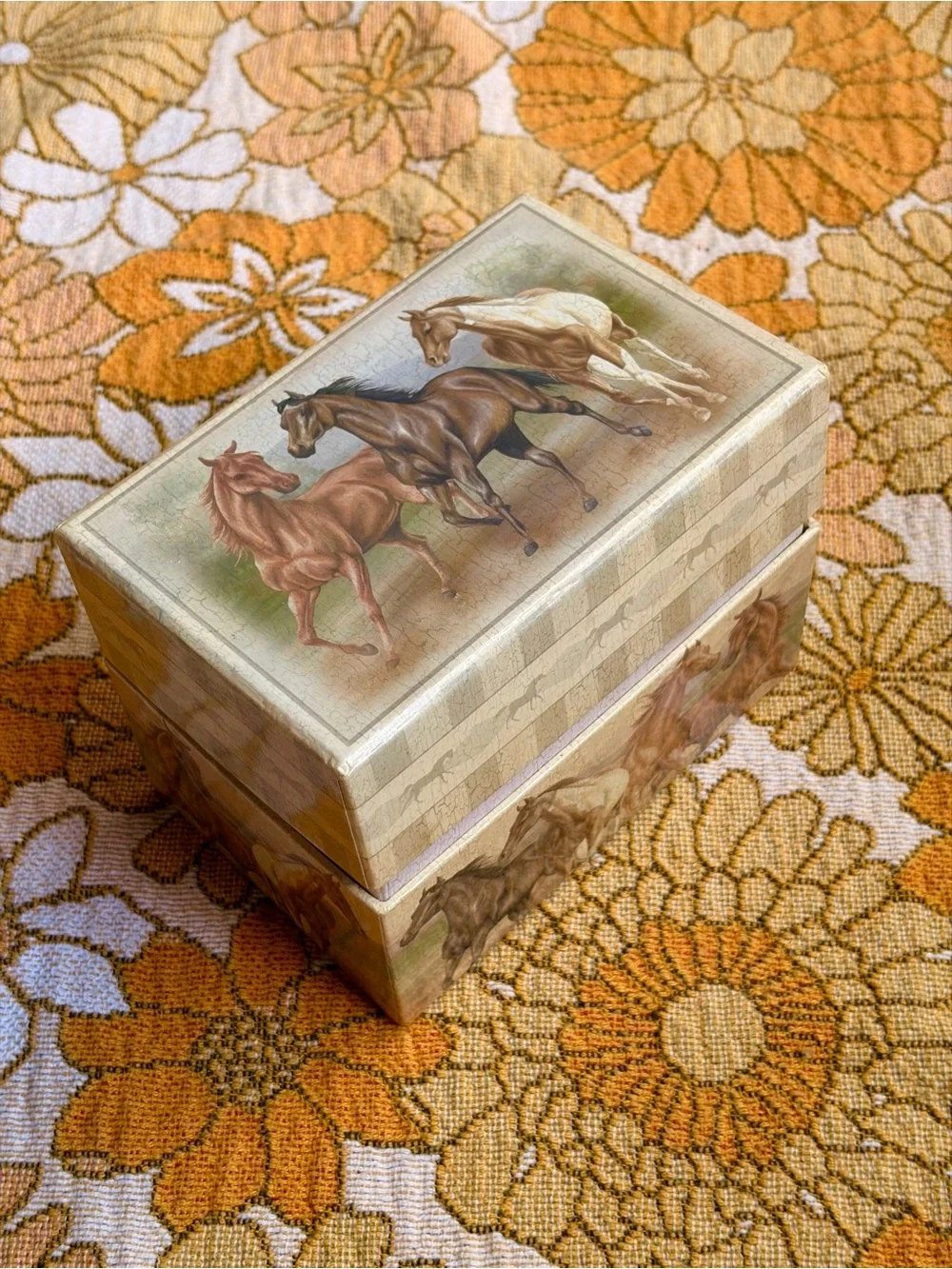 🐎🌾✨ Vintage Y2K Horse Recipe Box ✨🌾🐎